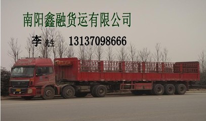 南阳货运信息部与普通货运 服务网络与发展概况